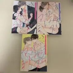 アフターミッドナイトスキン 1~3巻セット
