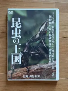 昆虫の王国　DVD
