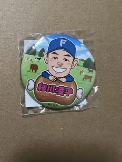 ファイターズガチャ 細川凌平 缶バッジ