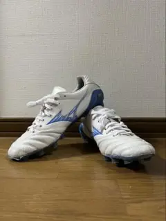 ミズノ モナルシーダ NEO3ELITE 25cm
