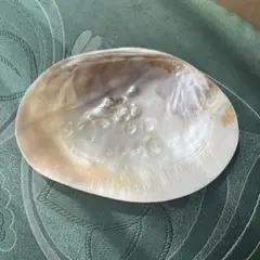 パールシェル皿
