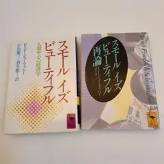 スモールイズビューティフル+再論　2冊セット　講談社学術文庫 　シューマッハー