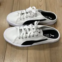 Item thumbnail for item 2306a397-32eb-400c-aaa6-9ee7908cc527