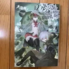 ダンジョンに出会いを求めるのは間違っているだろうか 12
