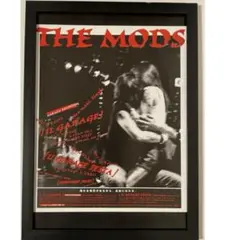 (A4額付き) THE MODS 広告　タワレコ　ポスター風