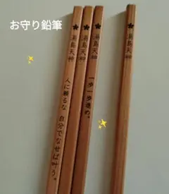 Item thumbnail for item 7c4b9996-6245-4f2b-a52a-53e29f05e593