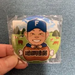 日本ハムファイターズ 池田隆英 缶バッジ