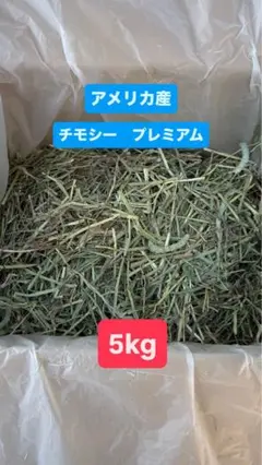 Item thumbnail for item 777736aa-f1a3-479a-8140-3dd0b1524245