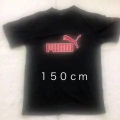 プーマ　半袖Ｔシャツ