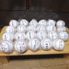 高校野球 甲子園 優勝、準優勝記念ボール 23個