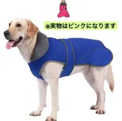 Item thumbnail for item 0078ec28-378c-4e13-b68c-2dcbf2bc318a