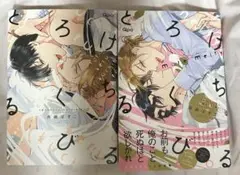 とろけるくちびる 1巻2巻セット