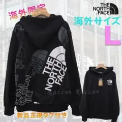 希少ザノースフェイスnorth face 海外限定L パーカー 背面ビッグロゴ黒