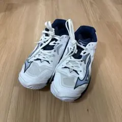 【未使用に近い】Mizuno 24.5cm ウェーブライトニング Z8
