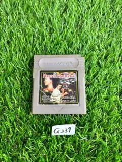 ゲームボーイ　マスターカラテカ　ソフト　G239