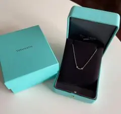 Tiffany & Co. シルバーネックレス