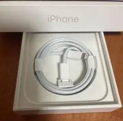 iPhone 充電器 純正 タイプCライトニングケーブル Apple正規品