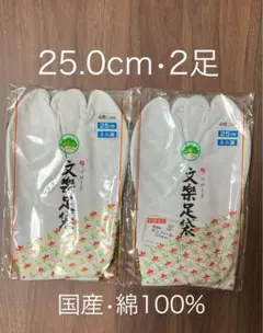 足袋　25.0cm 2足　ネル裏