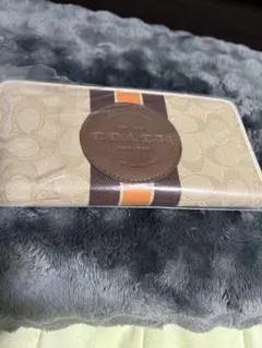 Item thumbnail for item 60e91264-544f-49e8-a8d6-04927f838214