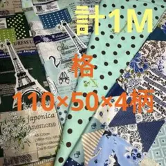 小関鈴子　綿生地　エッフェル塔　気まぐれレアレアセット