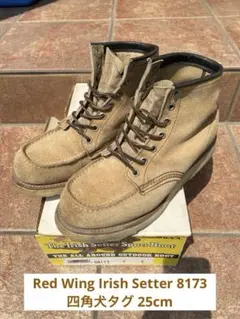 Red Wing Irish Setter 8173 四角犬タグ 25cm