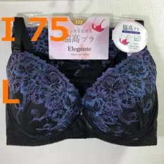 Item thumbnail for item 331ce897-0151-4cc7-91d9-a549330b8c99