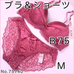 Item thumbnail for item b0e72dc5-1c3d-4aba-a170-5b2df6accd0c