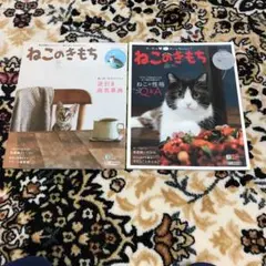 ねこ雑誌「ねこのきもち」14冊(2019年11月〜2020年12月)