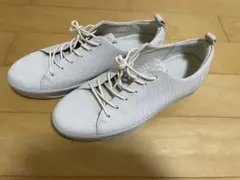 ECCO 本革スニーカー 38(24)