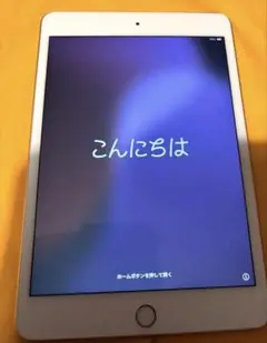 Apple iPad mini 本体