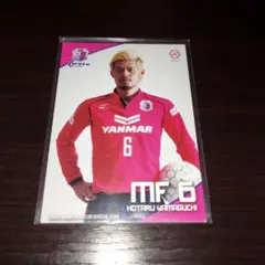 2014セレッソ大阪配布カード 山口蛍カード