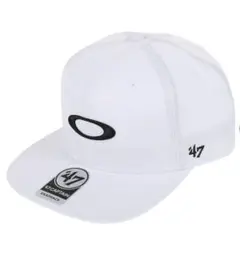 Item thumbnail for item b4f57758-5028-4bc2-a66d-302ca2abdf16