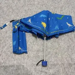 Item thumbnail for item 1640a56e-ad09-4d74-81ca-f45927d946ac