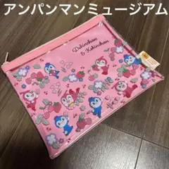 【アンパンマンミュージアム限定】ドキンちゃん コキンちゃん フラットポーチ L