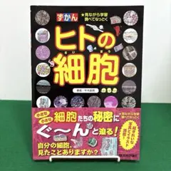 ヒトの細胞