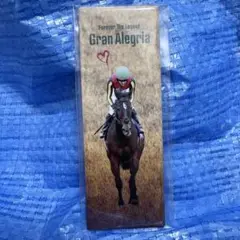 未開封⬜︎グランアレグリア⬜︎缶バッジ⬜︎引退記念グッズ⬜︎競馬