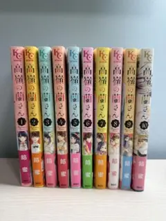 高嶺の花さん 全10巻セット