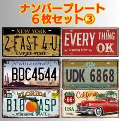 3【6枚セット】アメリカン ナンバープレート ブリキ看板 USA風 ディスプレイ