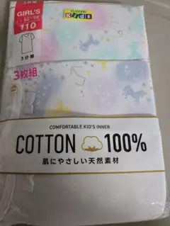 Item thumbnail for item ee15d736-78f4-46dc-b52a-f9f9cd67d768