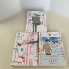 彼女が好きなものはホモであって僕ではない 1、2、3巻セット