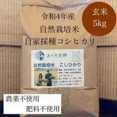 令和4年新米 自然栽培米 玄米5kg 農薬不使用・肥料不使用 コシヒカリ
