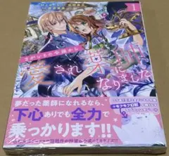 2167．まがいもの令嬢から愛され薬師になりました １