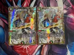 蒼龍の大地 金トレジャー　2枚セット