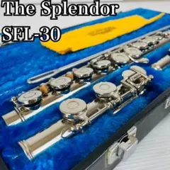 The Splendor flute スプレンダーフルート ハードケース付き 美品】The Splendor Flute フルート 管楽器 初心者用
