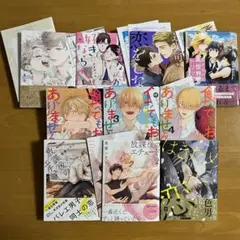 BL 漫画 10冊