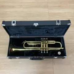 2025年最新】kawai トランペットの人気アイテム - メルカリ