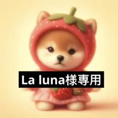 専用ページ