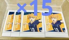 ハイキュー　日向翔陽　ゴミ捨て場の決戦　ぱしゃこれ　15点