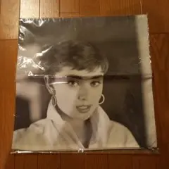 新品オードリークッションカバー
