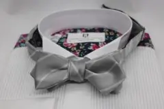 Item thumbnail for item 2e6690db-aa23-46d5-b6ba-7789207c0c61